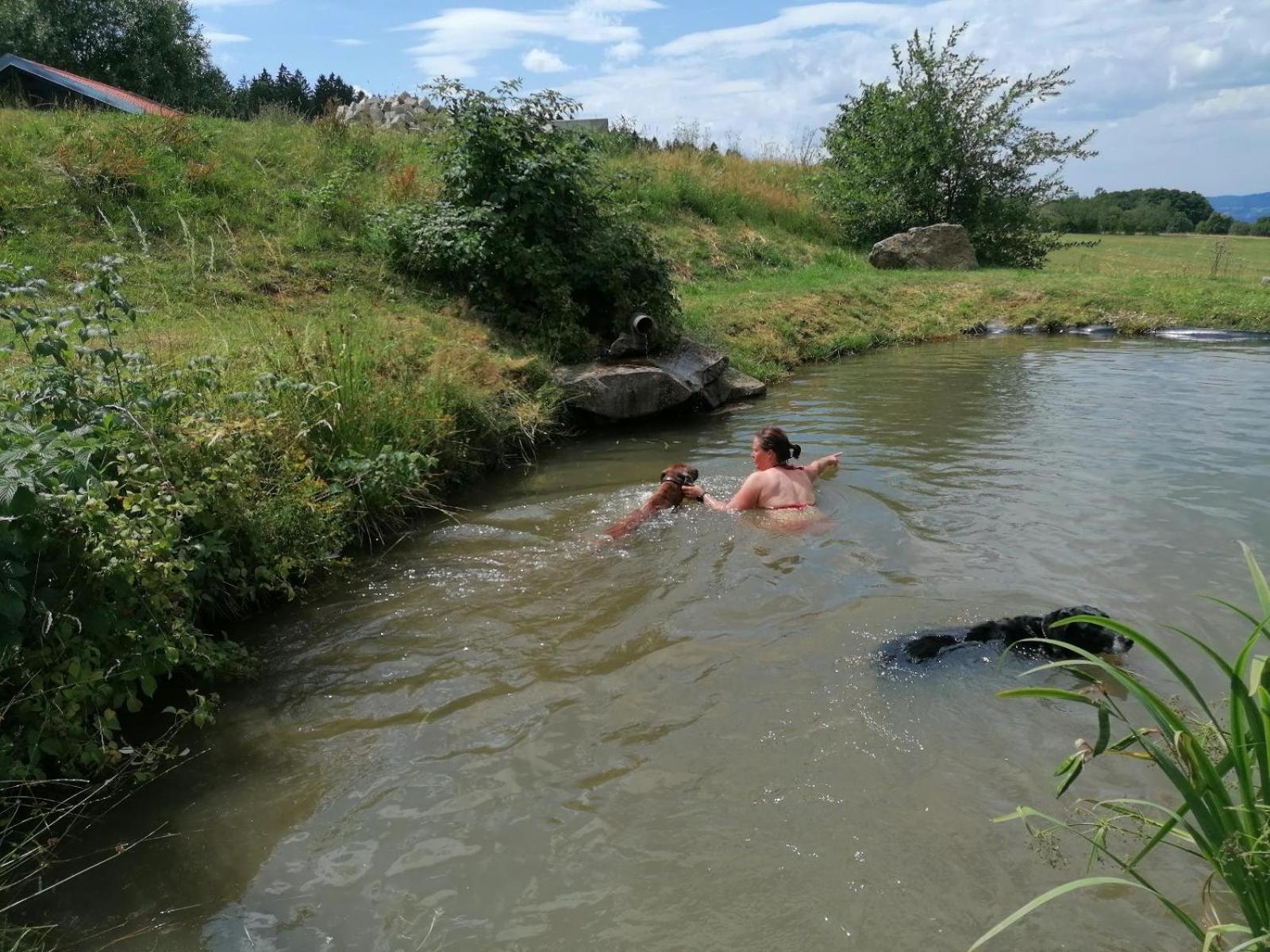 הוילה Schöfweg Wild Life Ranch מראה חיצוני תמונה