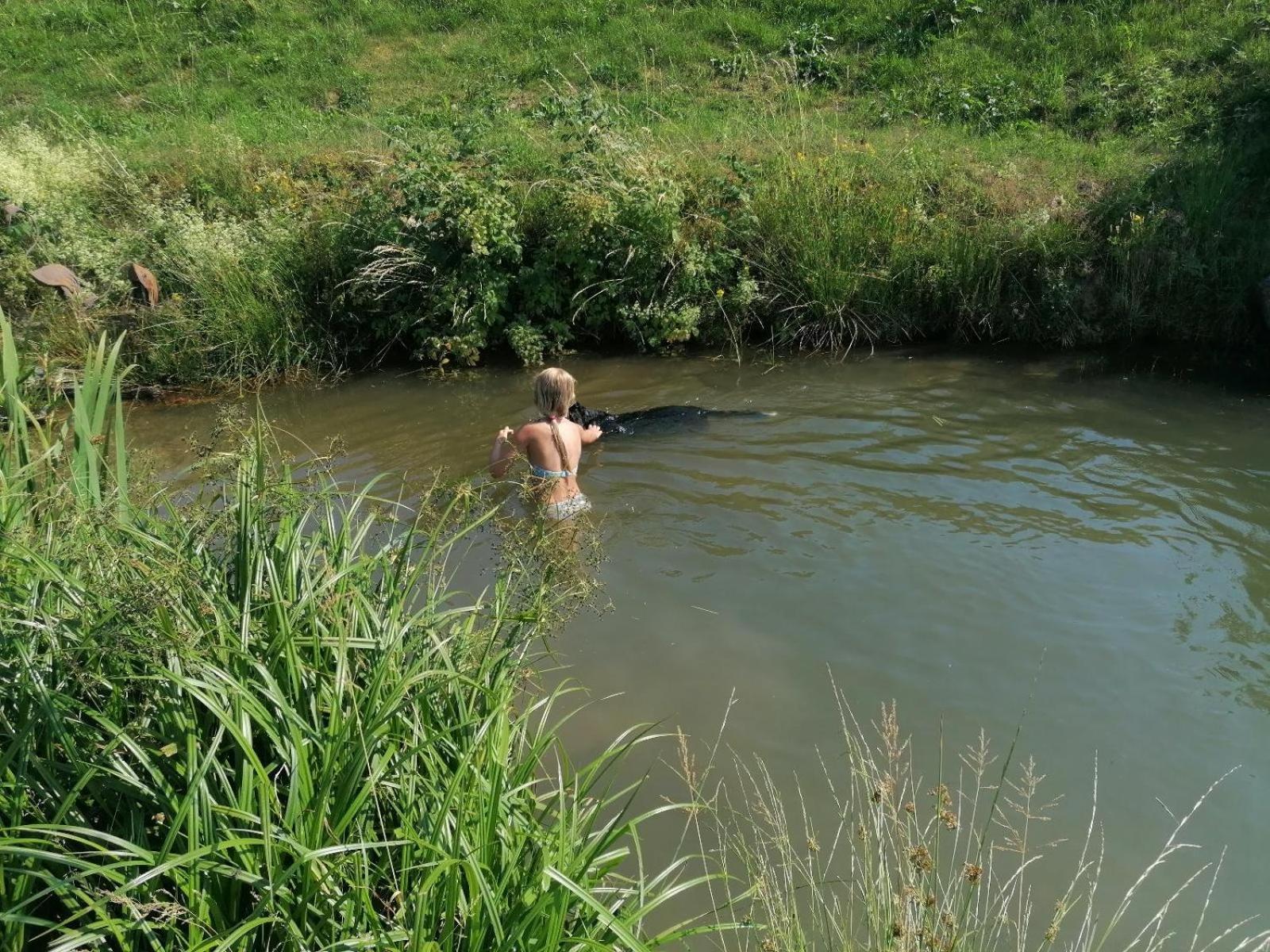 הוילה Schöfweg Wild Life Ranch מראה חיצוני תמונה